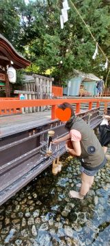 みたらし祭り　足洗い　お参り