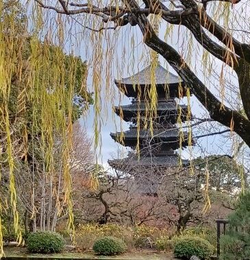 カモと東寺とおじさん１