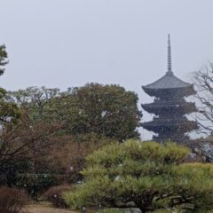 東寺冬アイキャッチ