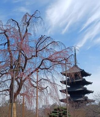 東寺３月アイキャッチ