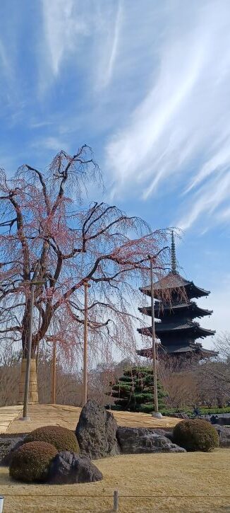 東寺３月アイキャッチ