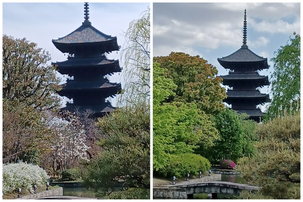 東寺