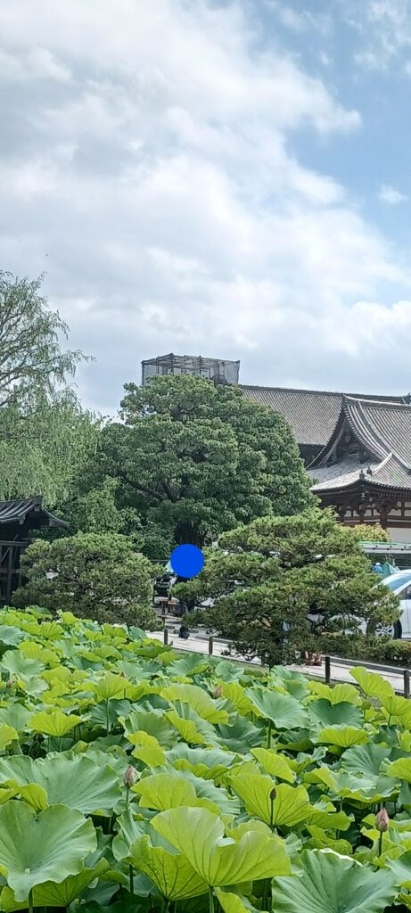 東寺