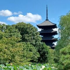 東寺７月