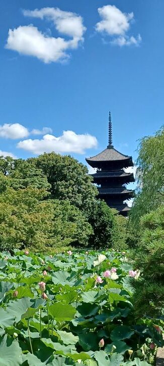 東寺７月