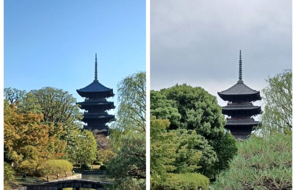 東寺10月11月