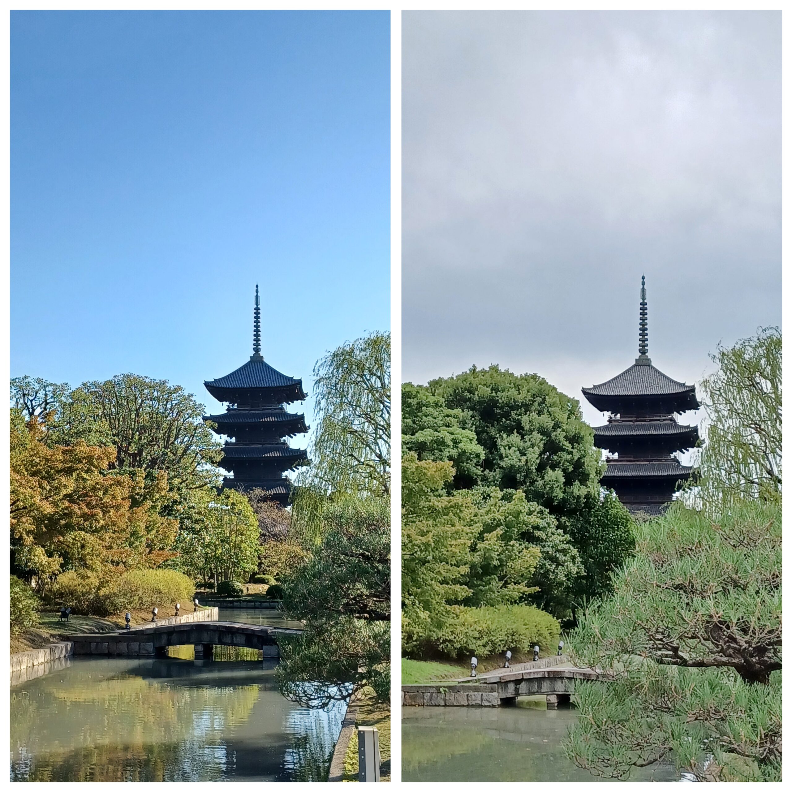 東寺10月11月