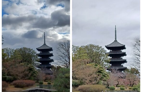 東寺