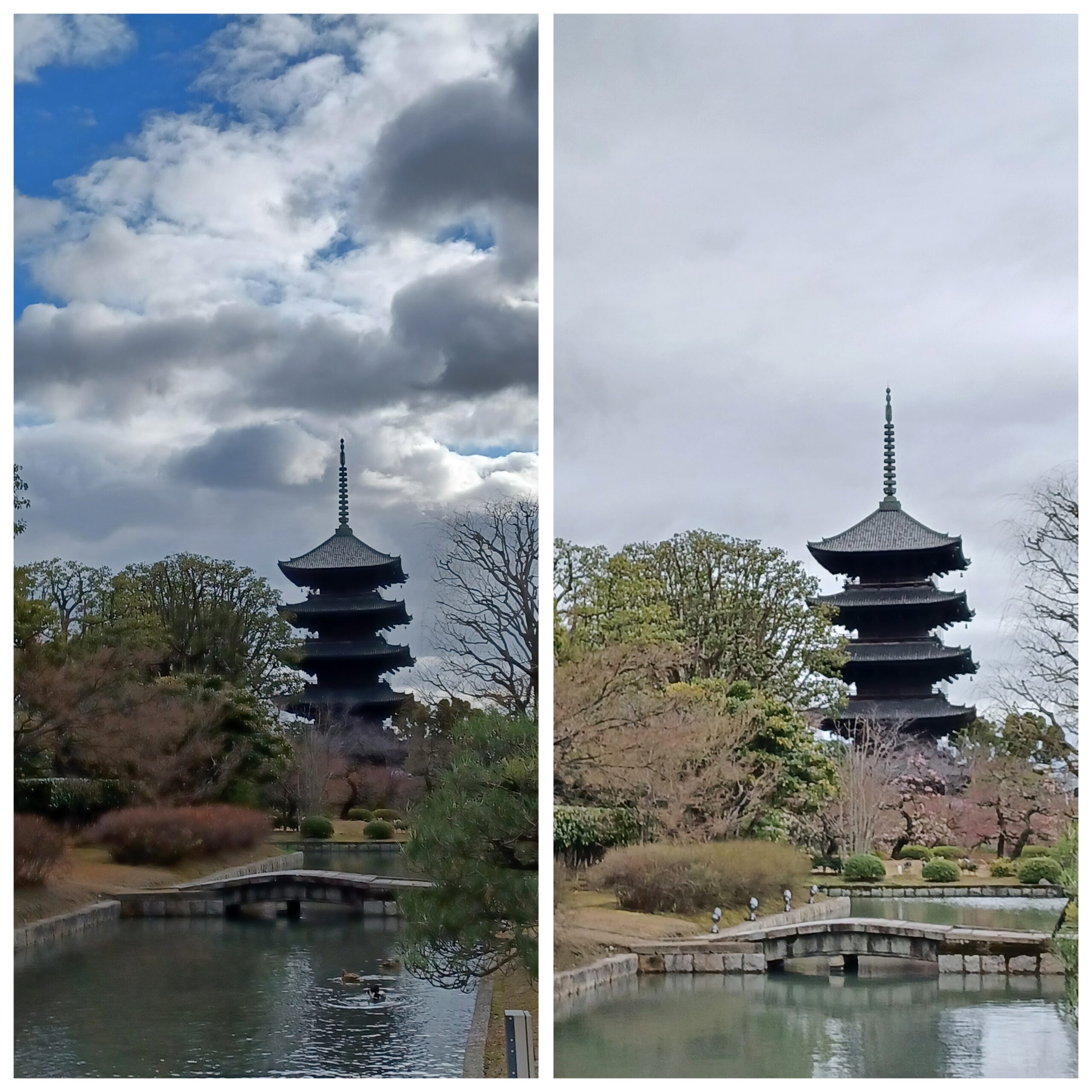 東寺