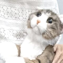 ゆみちゃん
